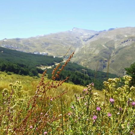 Duplex Acogedor Con Vistas Y Garaje Opcional Leilighet Sierra Nevada Eksteriør bilde