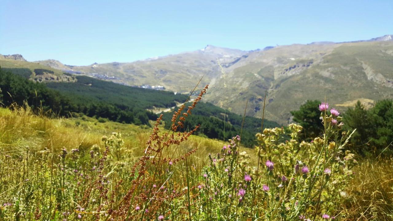 Duplex Acogedor Con Vistas Y Garaje Opcional Leilighet Sierra Nevada Eksteriør bilde