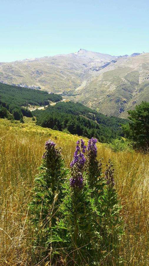 Duplex Acogedor Con Vistas Y Garaje Opcional Leilighet Sierra Nevada Eksteriør bilde